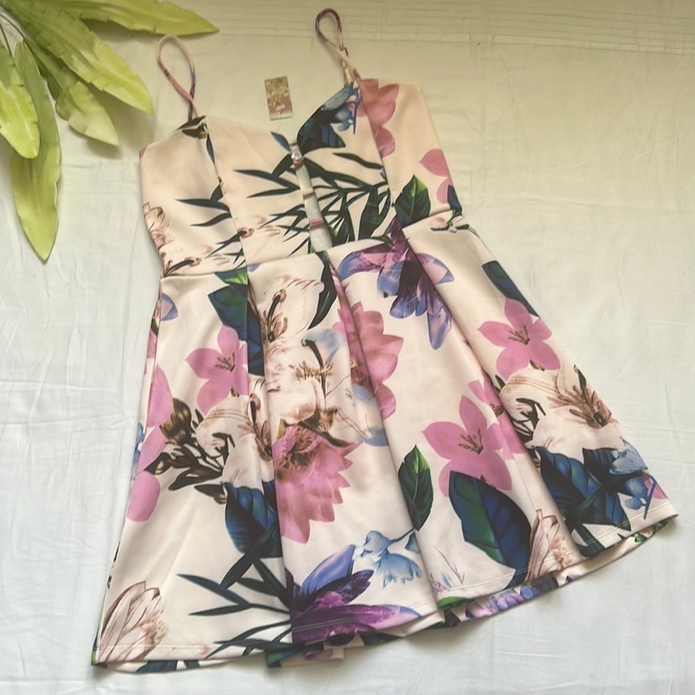NWT Streetwear Society Floral Print Dress